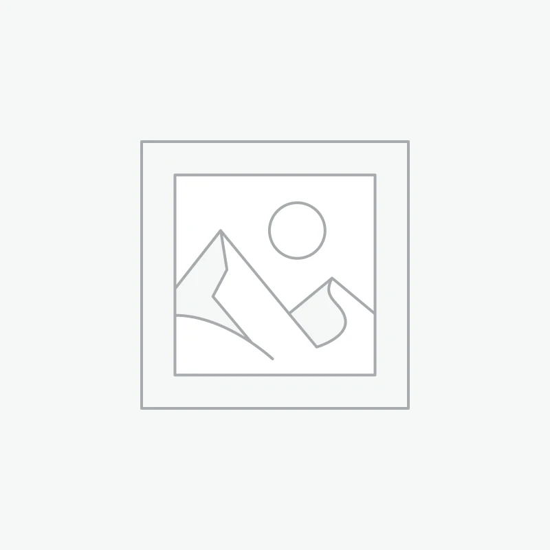 林憶蓮演唱會 演出日期: 17/5/2026 票面:588票